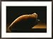 Primitive stone cutting tool used by Homo erectus man Framed Art Poster Print by Kenneth Garrett, 29x21