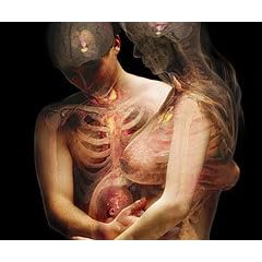 Architecture and Design of Man and Woman by 