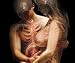 Architecture and Design of Man and Woman