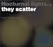Musik : Nocturnal Lights They Scatter