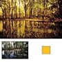 Cokin Series P Gold Filter