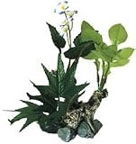 JUNGLE FLORAL ASH WOOD 1 SM