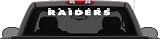 Oakland Raiders Logo Vinyl Graphic Wall Decal 4" x 36"