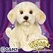 Webkinz Virtual Pet Plush – Signature Series – LABRADOODLE