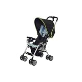 Flare 2010 Stroller in Kiwi