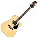 EF400SC Acoustic Electric Guitar