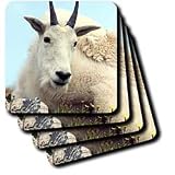 Farm Animals - Alpine Goat - Coasters