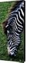 Uniquely Identifiable Canvas Print / Canvas Art - Artist Linda Knorr Shafer