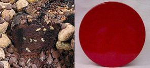 All Star Chocolate 8 Coffee Cake (Red Gift Tin)
