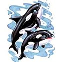 Two Whales Youth T-Shirt