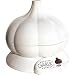 Tagco Roasted Garlic Express Electric Roaster - WHITE