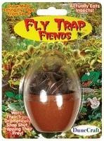 Fly Trap Fiends Micro Terrarium - DuneCraft