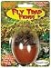 Fly Trap Fiends Micro Terrarium - DuneCraft