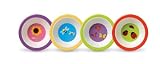 Crocodile Creek's Garden 4 Piece Children's Melamine Bowl Set