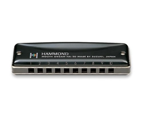 Childrens Toyshop  Musical Instruments : Suzuki Promaster Hammond Harmonica, Key of F#
