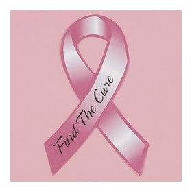 1 Eight Inch Breast Cancer Awareness Magnet Ribbon