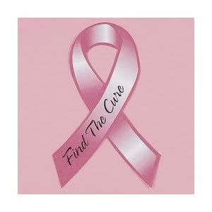 1 Eight Inch Breast Cancer Awareness Magnet Ribbon