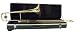 Palatino B-Flat Trombone with thermoplastic case