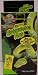 Zoo Med Repti Shedding Aid 2.25oz,-1