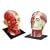 ���̃p�Y�� 4D VISION No.11 �����f�ʉ�U���f��