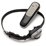 PetSafe Little Dog Remote Trainer