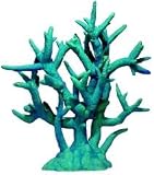 Br Staghorn Coral Xxl Oc.Blue