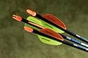 Lumenok Lighted Arrow Nock (Single)