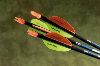 Childrens Toyshop  Sporting Goods : Lumenok Lighted Arrow Nocks