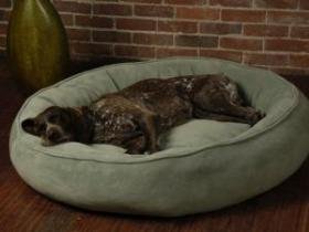 Big Shrimpy Nest Bed - Medium (Faux Suede/Walnut)