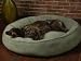 Big Shrimpy Nest Bed - Medium (Faux Suede/Walnut)