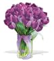 20 Purple Tulips - Fresh Cut Tulips
