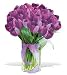 20 Purple Tulips - Fresh Cut Tulips