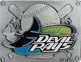 Tampa Bay Devil Rays Trailer Hitch Cover Made Of A Corrosion Resistant Pewter Alloy