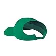 Otto Caps - Brushed Cotton Twill Ponytail Low Profile Pro Style Caps