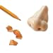 Nose Pencil Sharpener