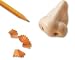  : Nose Pencil Sharpener