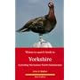 Where to Watch Birds in Yorkshire: Including the Former North Humberside (Where to Watch Birds)