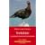 Where to Watch Birds in Yorkshire: Including the Former North Humberside (Where to Watch Birds)