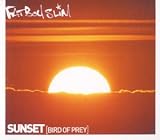 Sunset (Bird of Prey)
