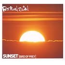 Sunset (Bird of Prey)