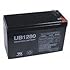 Replacement CPS1500AVR UPS battery [Electronics]