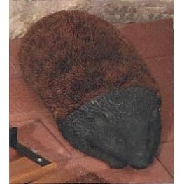 Shoe and Boot Brush: Hedge Hog Style from Garden Shoes