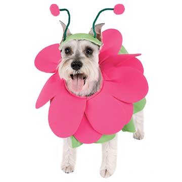 Bloomin Snout Pet Costume