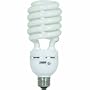 Feit Electric ESL40TN/D 42-Watt Compact Fluorescent High-Wattage Bulb, Daylight
