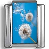 Dandelions on Blue Photo Italian Charm