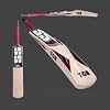 Buy Cricket Pants - SS Gladiator Kashmir Willow Cricket Bat Mens Short Handle Medium Weight