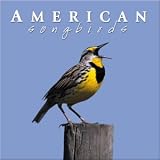 Naturescapes American Songbirds CD