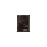 Fossil Flyby Trifold