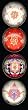 iPop Clicks wooster & prince Sultana 4-Pack Magnet Set