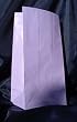 Paper Favor Treat Goody Luau Party Gift Bags - Lavender (12 Bags)